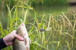 Matrix - Methodfeeder Open Alloy Feeder Inter - Matrix -Aanbevolen Winkels Voor Visuitrusting 1407170536