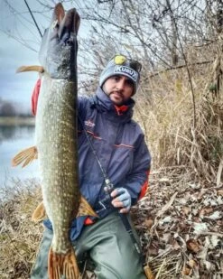 Sakura - Kunstaas Cajun Bladed Jig - Sakura -Aanbevolen Winkels Voor Visuitrusting 1527176482