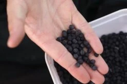 Fjuka - Pellets 2in1 - Fjuka -Aanbevolen Winkels Voor Visuitrusting 1598508006