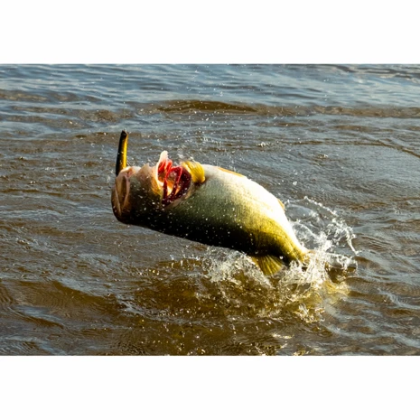 Savage Gear - Kunstaas Prop Walker 10,0cm - 21g - Savage Gear 4 Savage Gear - Kunstaas Prop Walker 10,0cm - 21g - Savage Gear - Afbeelding 2