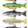 Savage Gear - Swimbait 4D Line Thru Pulsetail Trout Slow Sinking - 16cm / 51g - Savage Gear