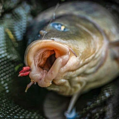Korum - Haken Grappler Barbed - Korum -Aanbevolen Winkels Voor Visuitrusting 1944874725
