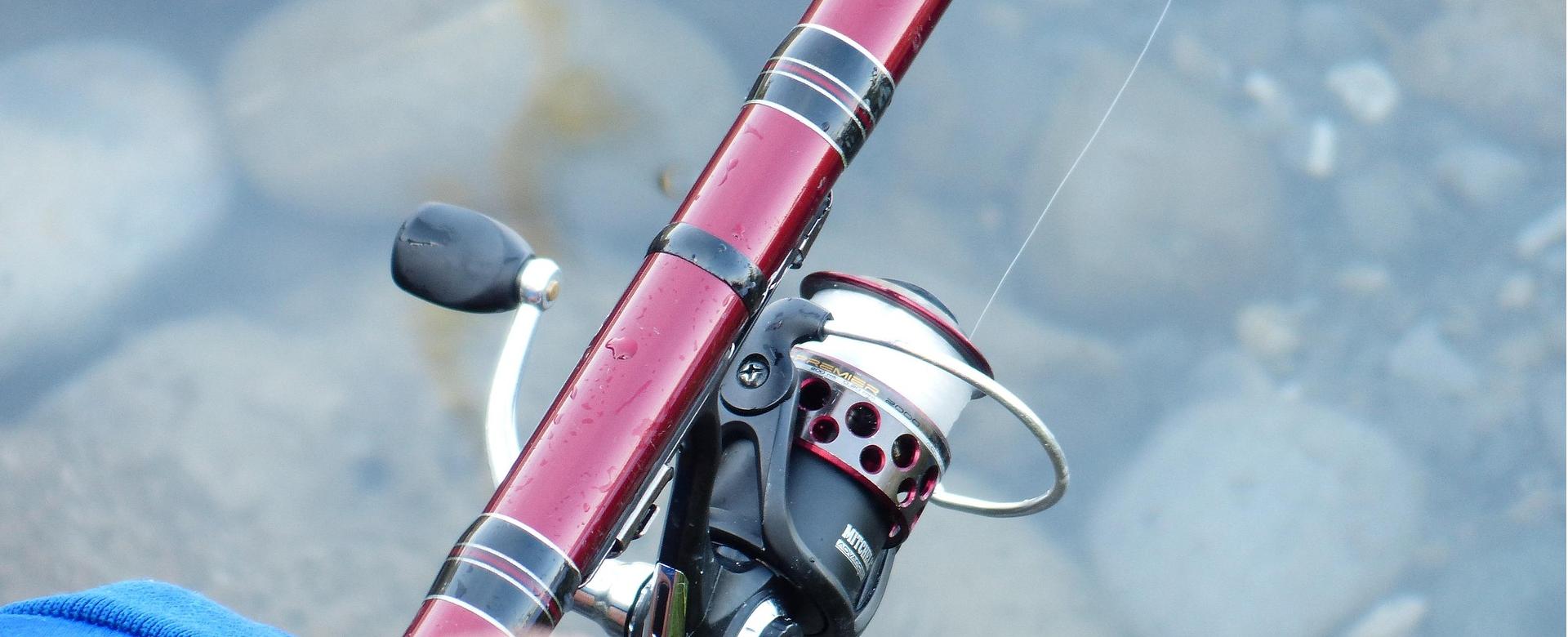 Aanbevolen Winkels Voor Visuitrusting -Aanbevolen Winkels Voor Visuitrusting fishing rod 187069 1920